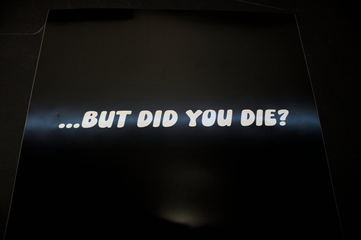 Funny Car Sticker "But Did You Die?" Vinyl Decal - Rising Sun Decals - Funny Car Sticker "But Did You Die?" Vinyl Decal