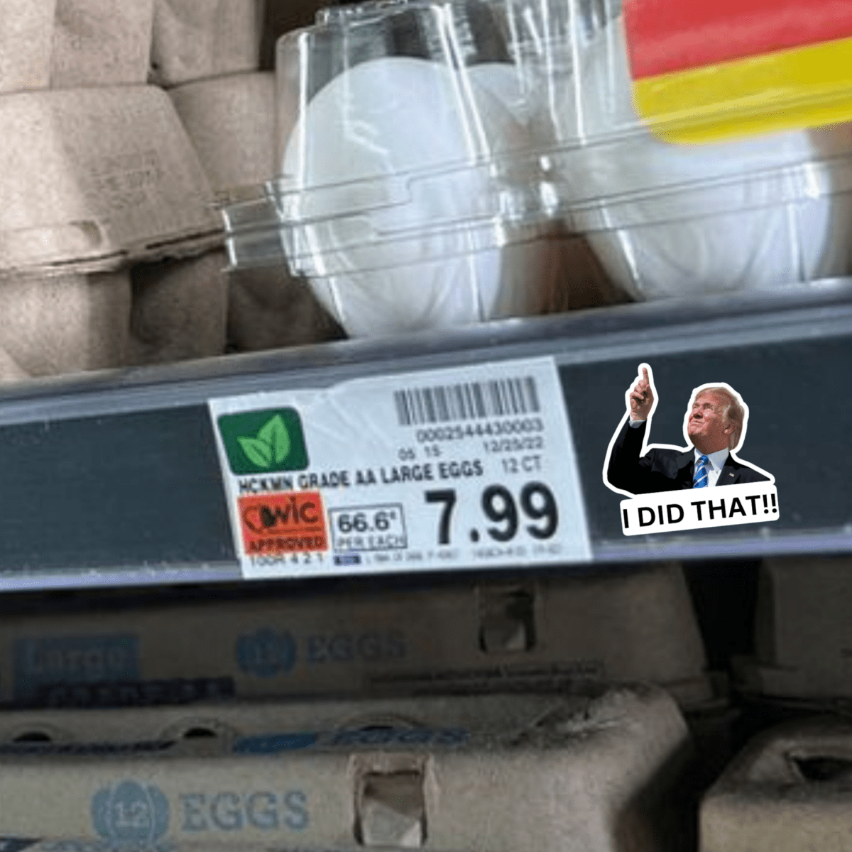I Did That Trump Sticker | Pointing Sticker | Vinyl Sticker | Water Resistant | Anti Trump | Meme Sticker | Fdt - Rising Sun Decals - I Did That Trump Sticker | Pointing Sticker | Vinyl Sticker | Water Resistant | Anti Trump | Meme Sticker | Fdt