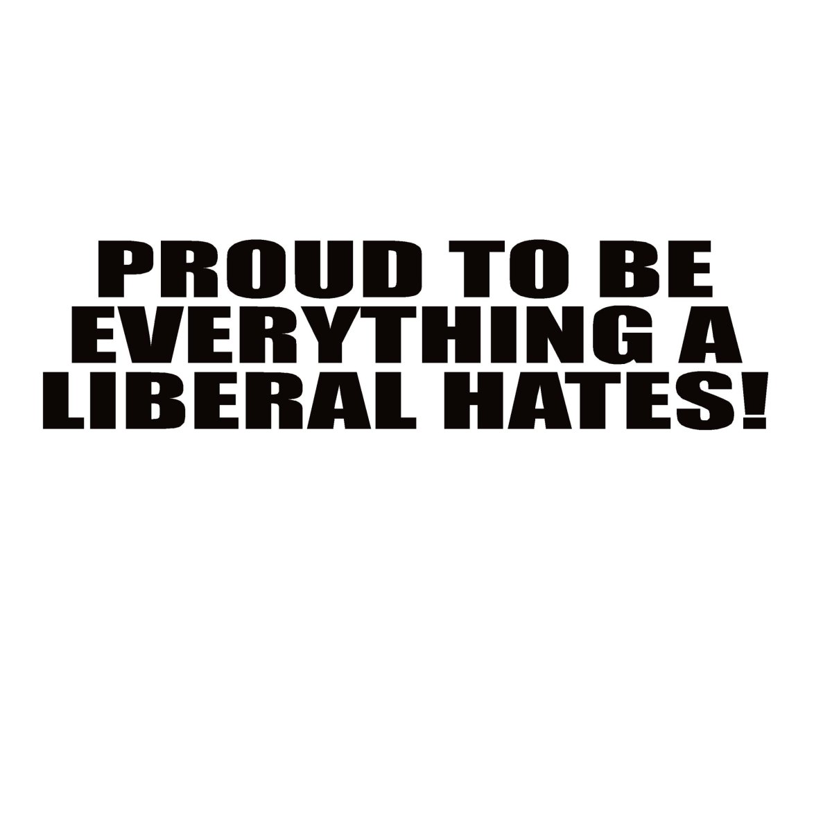 Conservative Decal - Proud to Be Everything a Liberal Hates – Political Vinyl Sticker – 7410 - Rising Sun Decals - Conservative Decal - Proud to Be Everything a Liberal Hates – Political Vinyl Sticker – 7410