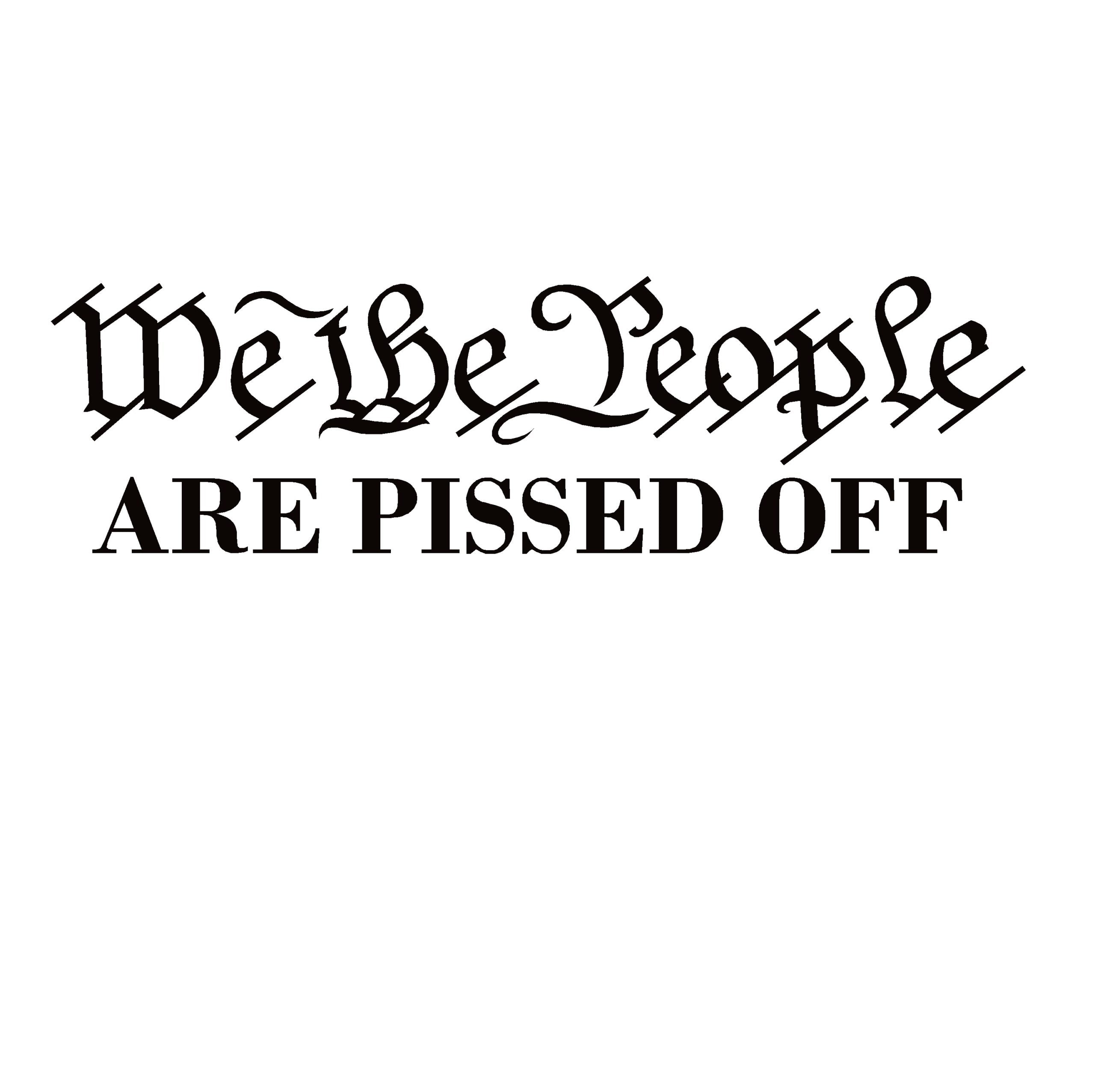 We The People Patriotic Decal – Political Protest Vinyl Sticker for Cars & Windows – 7992
