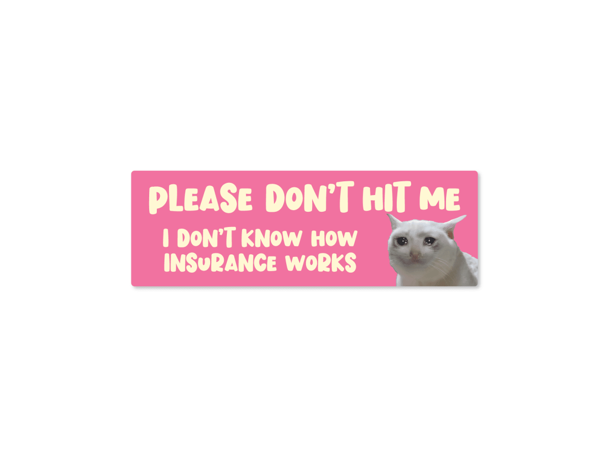 Please Don’t Hit Me, I Don’t Know How Insurance Works Cat Funny Bumper Sticker or Magnet - Rising Sun Decals - Please Don’t Hit Me, I Don’t Know How Insurance Works Cat Funny Bumper Sticker or Magnet