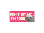 Don't Hit Me I'm Poor Cat 7" Funny Bumper Sticker - Rising Sun Decals - Don't Hit Me I'm Poor Cat 7" Funny Bumper Sticker