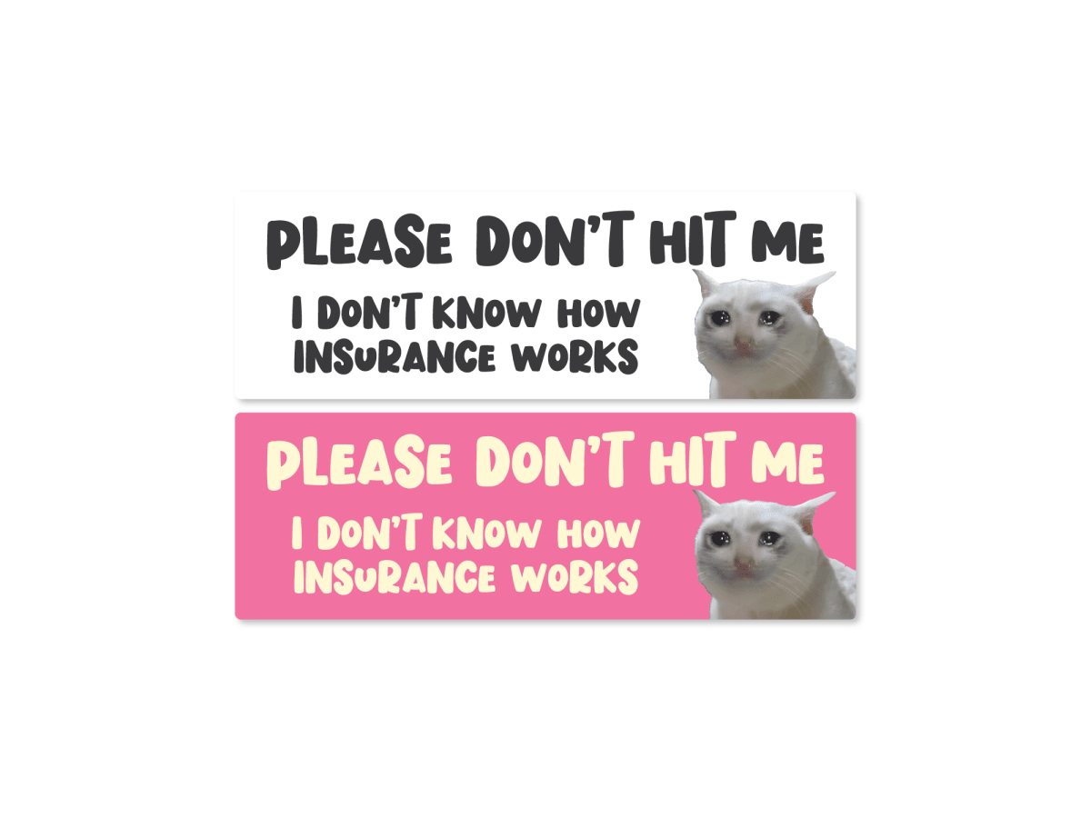 Please Don’t Hit Me, I Don’t Know How Insurance Works Cat Funny Bumper Sticker or Magnet - Rising Sun Decals - Please Don’t Hit Me, I Don’t Know How Insurance Works Cat Funny Bumper Sticker or Magnet