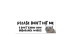 Please Don’t Hit Me, I Don’t Know How Insurance Works Cat Funny Bumper Sticker or Magnet - Rising Sun Decals - Please Don’t Hit Me, I Don’t Know How Insurance Works Cat Funny Bumper Sticker or Magnet