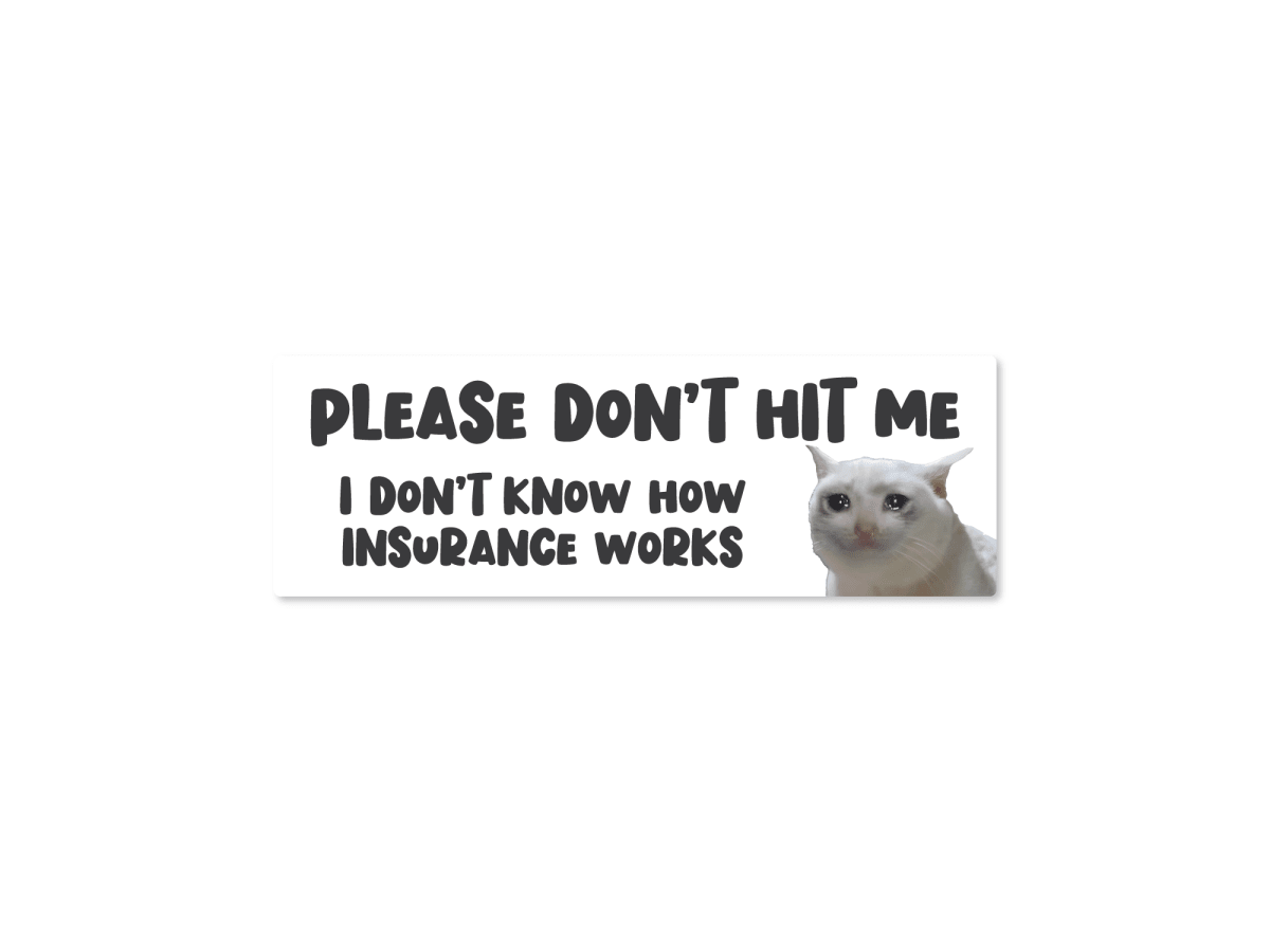 Please Don’t Hit Me, I Don’t Know How Insurance Works Cat Funny Bumper Sticker or Magnet - Rising Sun Decals - Please Don’t Hit Me, I Don’t Know How Insurance Works Cat Funny Bumper Sticker or Magnet